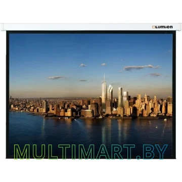 Проекционный экран Lumien Master Picture 173x300 (LMP-100118)